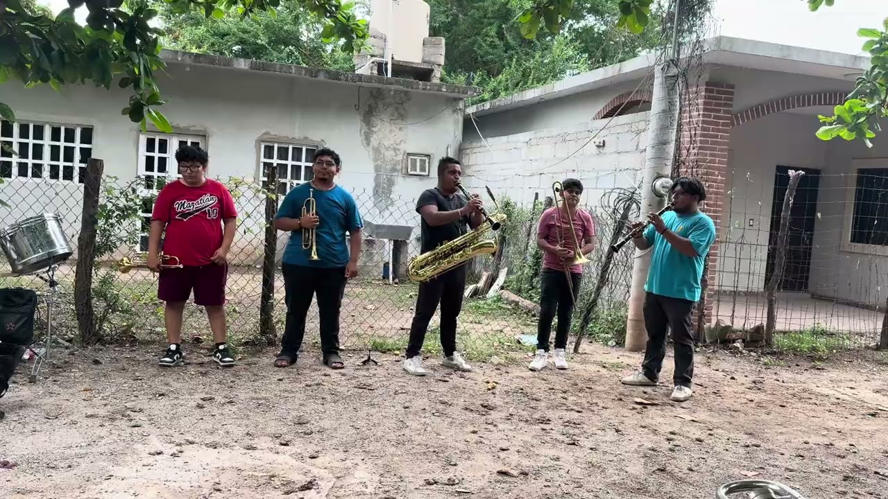 Bejuco De amor - @allisonysubandaestrellas 