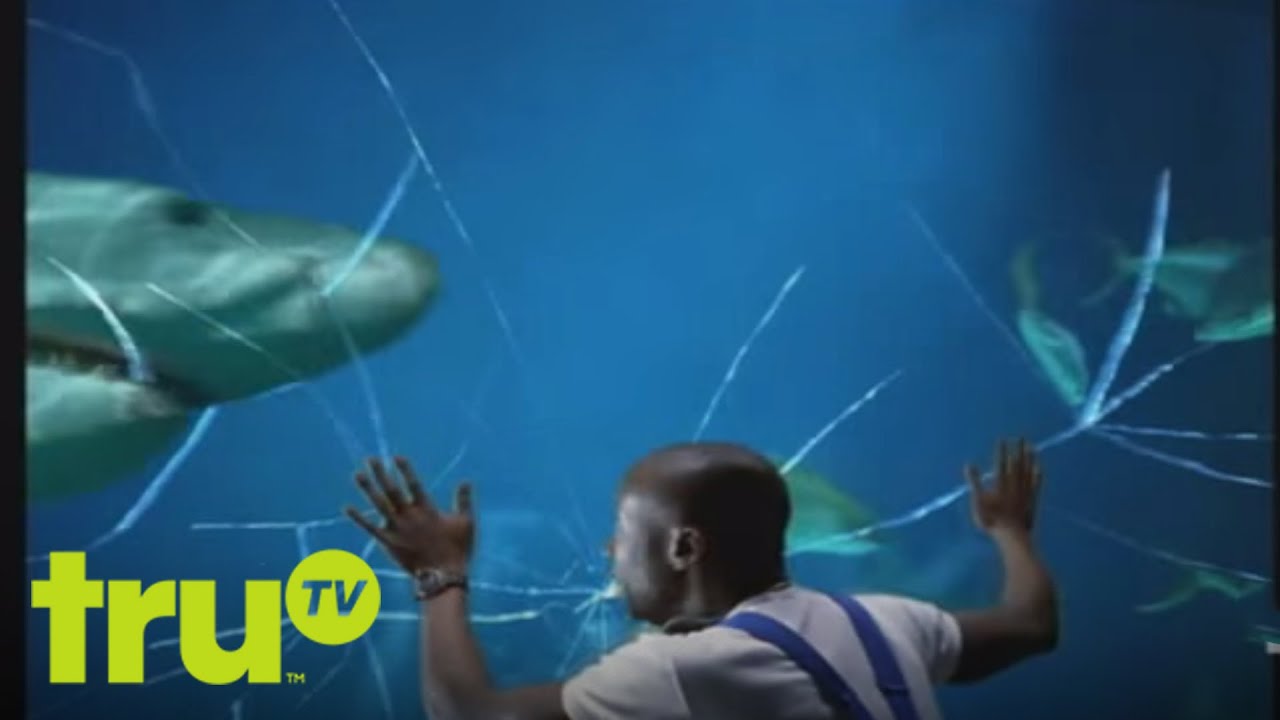 Funniest Commericals - Shark Attack - When in an emergency, it's always good to have reliable sources.
