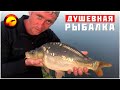 Незабываемая ночная рыбалка: душевное приключение у воды 🎣