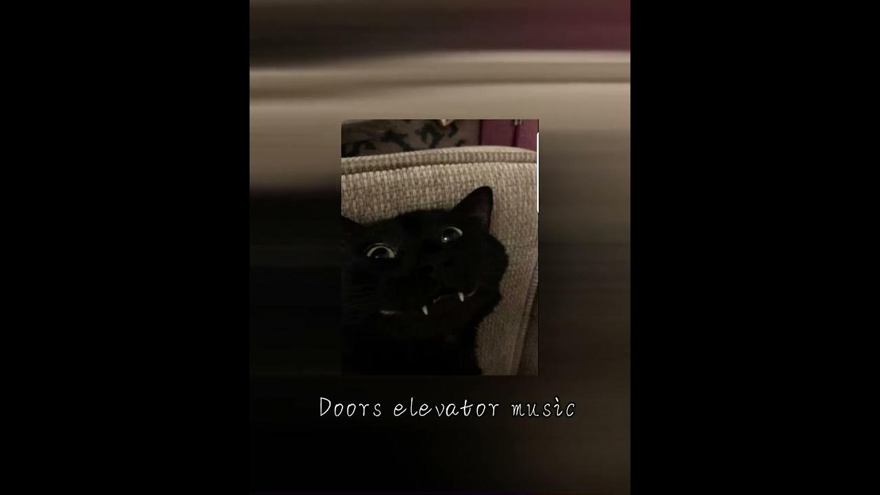 Doors elevator music sped up YouTube
