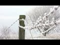 Canon Legria HF S20 - Winter December 2010. (1080p HD)