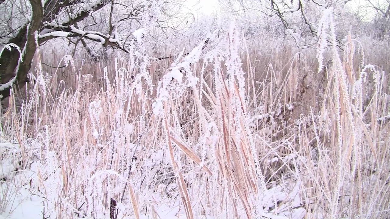 Canon Legria HF S20 - Winter December 2010. (1080p HD)