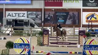 Corbello Green Horse Z Stallion Competition Lier 2026