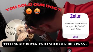 Telling my boyfriend I sold our dog prank *BAD IDEA* | krissy padilla screenshot 4