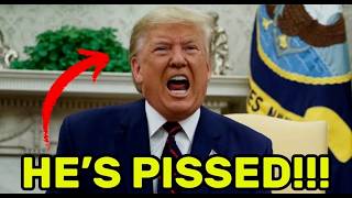 BREAKING NEWS - TRUMP FINALLY CAUGHT THEM ALL