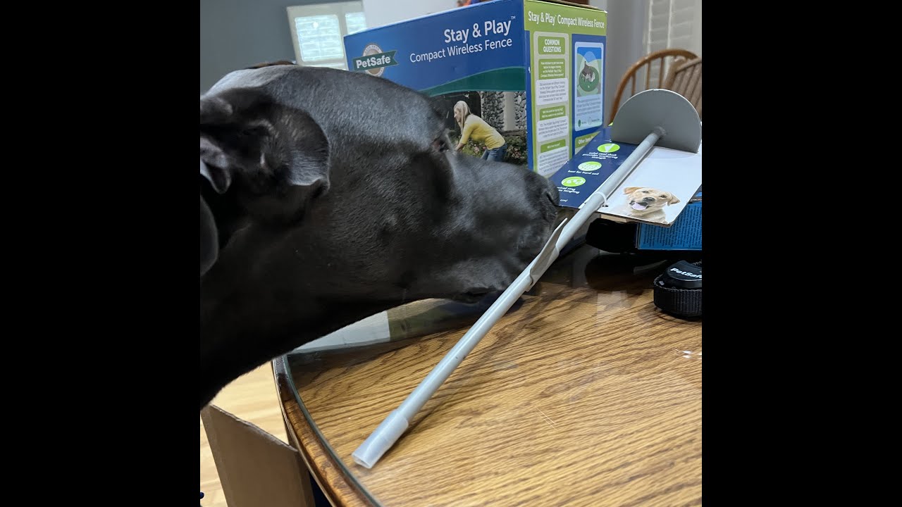 No Running Away Here