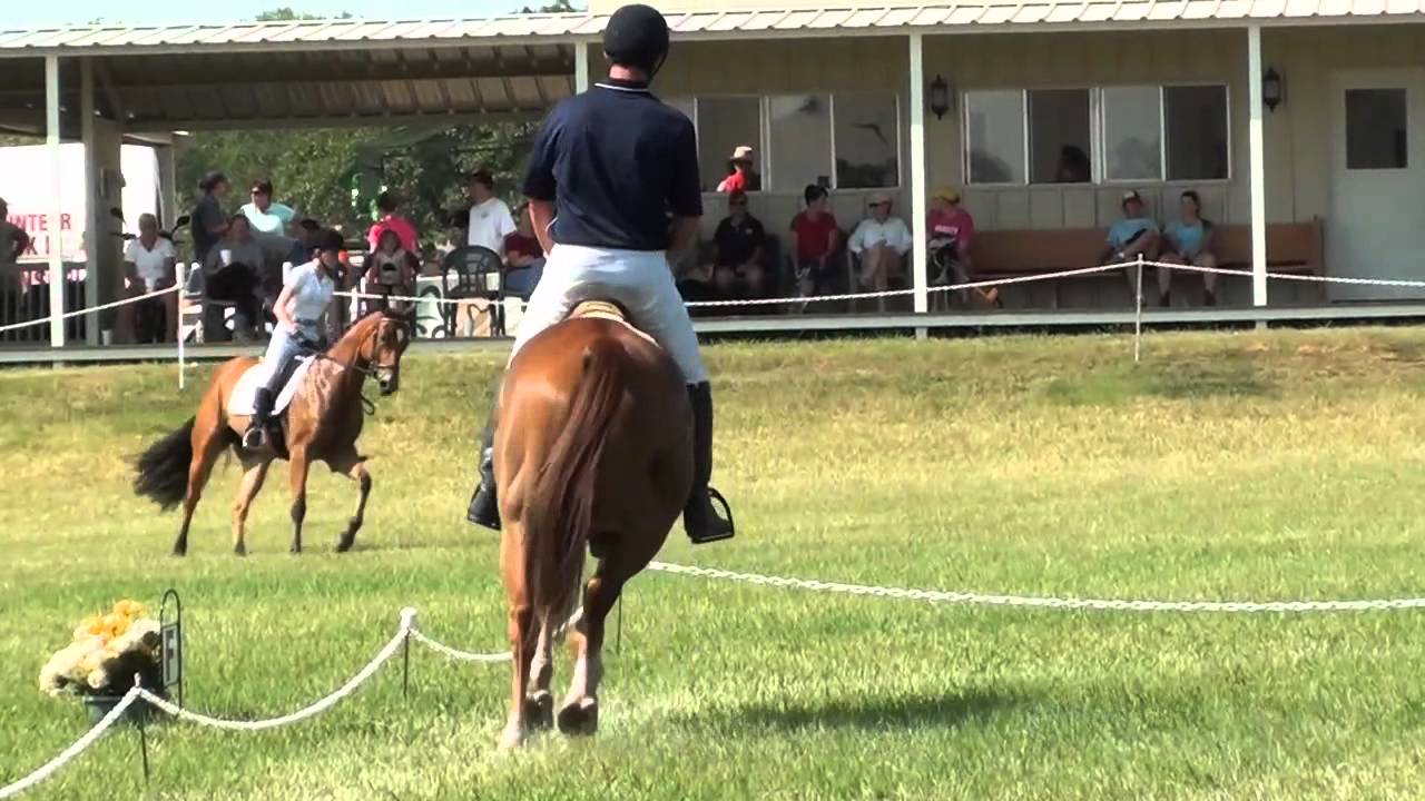 Stuart Black & Of The Big Dance Greenwood Horse Trials May 2012