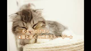 【睡眠導入】眠れないときに猫とぼくの感動ストーリー『わたしのげぼく』