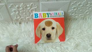 Baby Animals Touch and Feel Board Book
