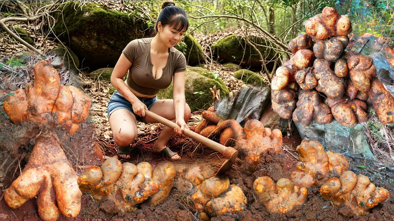 [TIMELAPSE] Digging Up Many Wild Tubers In The Deep Forest Goes To Countryside Market Sell
