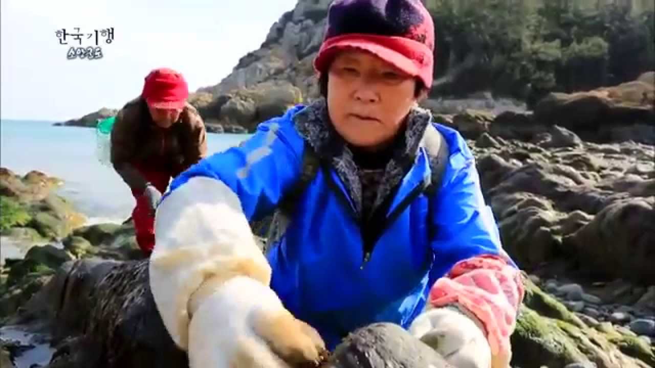 한국기행 - Korea travel_소안군도 1부 소안도 김, 풍경이 되다_#002