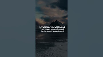 حالات واتس |القارئ شريف مصطفى|سورة الفرقان