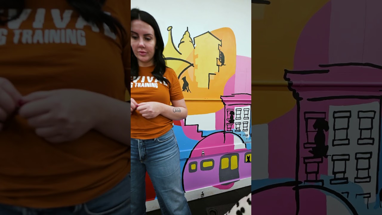 Revival Dog Training- East Village