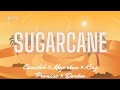 Camidoh  sugarcane remix lyrics ft mayorkun king promise  darkoo