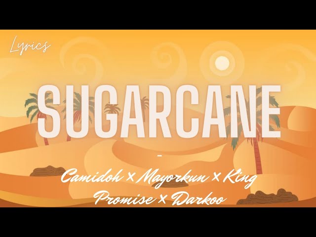 Camidoh - Sugarcane Remix (Lyrics) ft. Mayorkun, King Promise & Darkoo class=