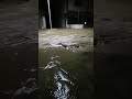 Flood Alert: Heavy Rain Warning! Water Rising Rapidly