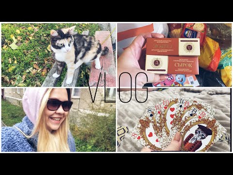 Видео: Vlog 