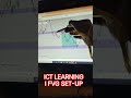 i fvg setup Ict & smc learning || LEGIT ICT || #forexgold #trading #ict #stockmarket #forex #xauusd