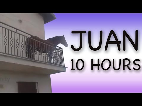 Juan 10 Hours