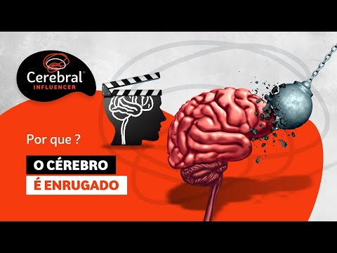 Vídeo: Qual animal tem o cérebro mais enrugado?