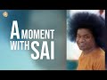 A moment with sai  teaser trailer  sri sathya sai organisation uk