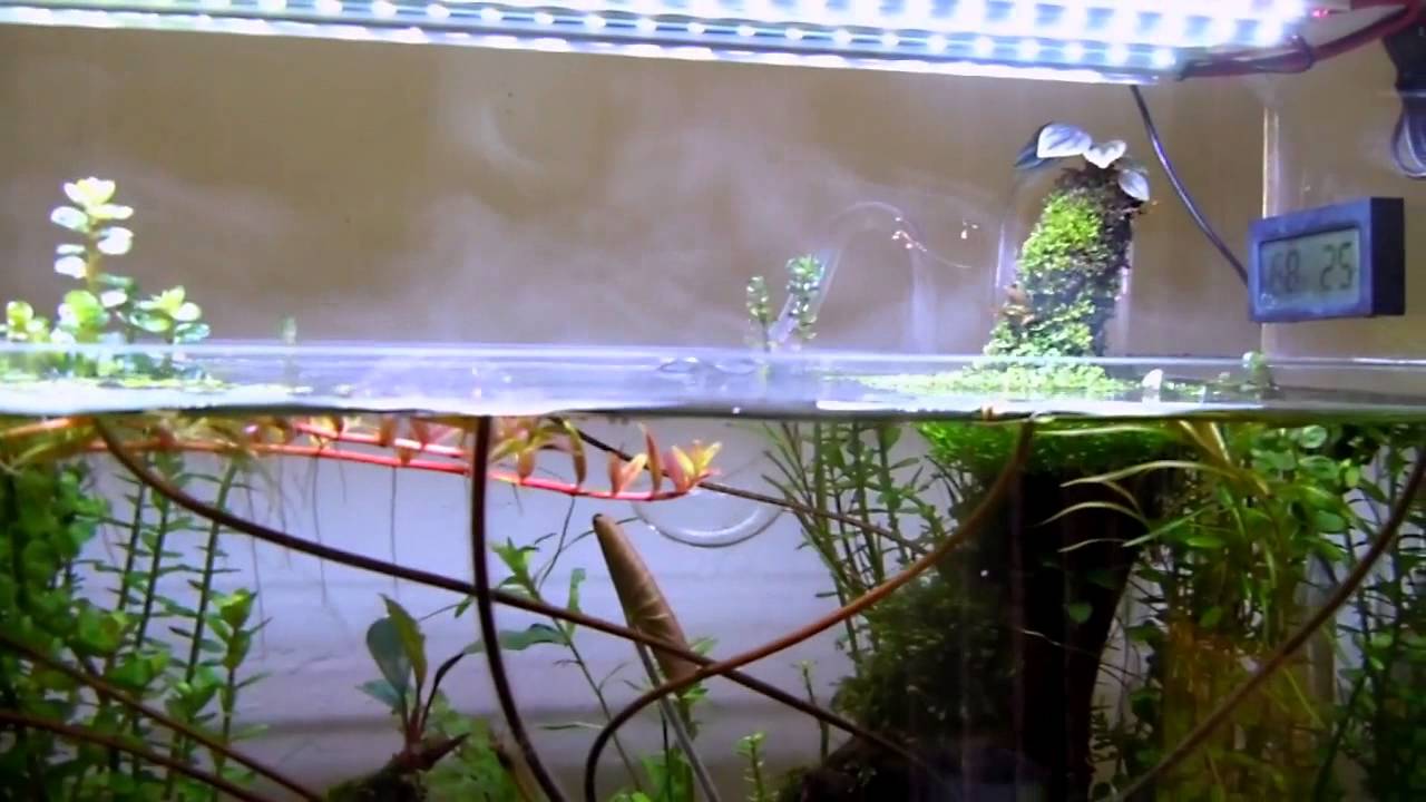aquarium humidifier