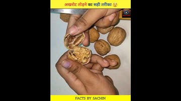 अखरोट तोड़ने का आसान तरीका 😨 | Easy way to open a walnut shell #shorts #fact #factsinhindi #shots