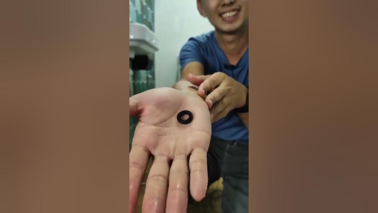 Bidet Spray leaking. How to detect and repair it? plumbing leaking bidet repair handyman 