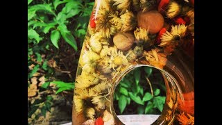 Eight Treasures Tea 八 寶 茶