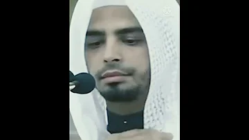 الشيخ عمر سنبل 