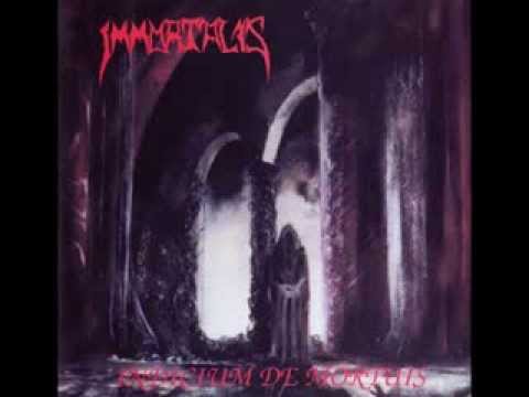 Immortalis - Countess Bathory (Venom cover)