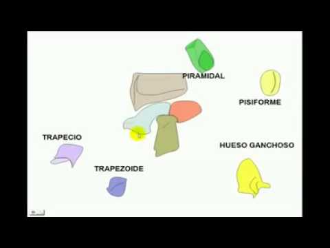 camera iphone 8 plus apk carpo