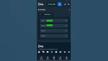 Stake Level 2 verification Problem#stake #stakeverification #shortsfeed #youtubeshorts