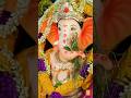 2024 Sri Ganesha Chaturdhi Highlights | Collinsbrook Farm
