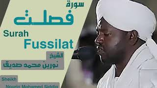 الشيخ نورين محمد صديق سورة  فصلت  Sheikh | Nourin Mohamed Siddig |Surah Fussilat