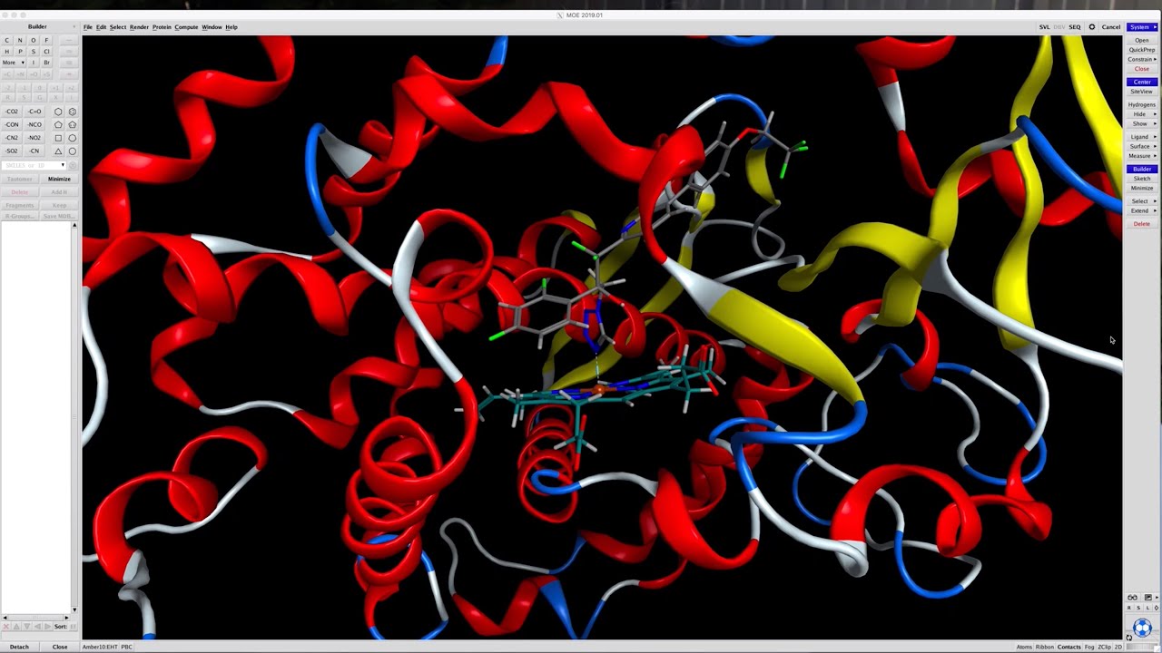 Moe Interaction Map Tutorial Self Docking of ligands with MOE - YouTube