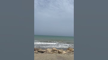 #سورة_هود [٧٤-٨٣] #تلاوة الشيخ #محمد_المحيسني