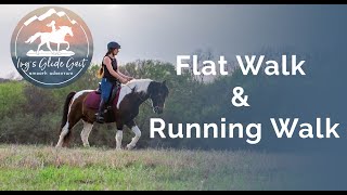 Explaining the FLAT WALK & RUNNING WALK