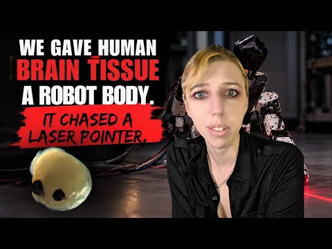 We Gave Human Brain Tissue a Robot Body. It Chased a Laser Pointer.