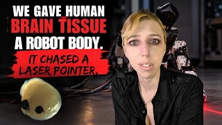 We Gave Human Brain Tissue a Robot Body. It Chased a Laser Pointer.