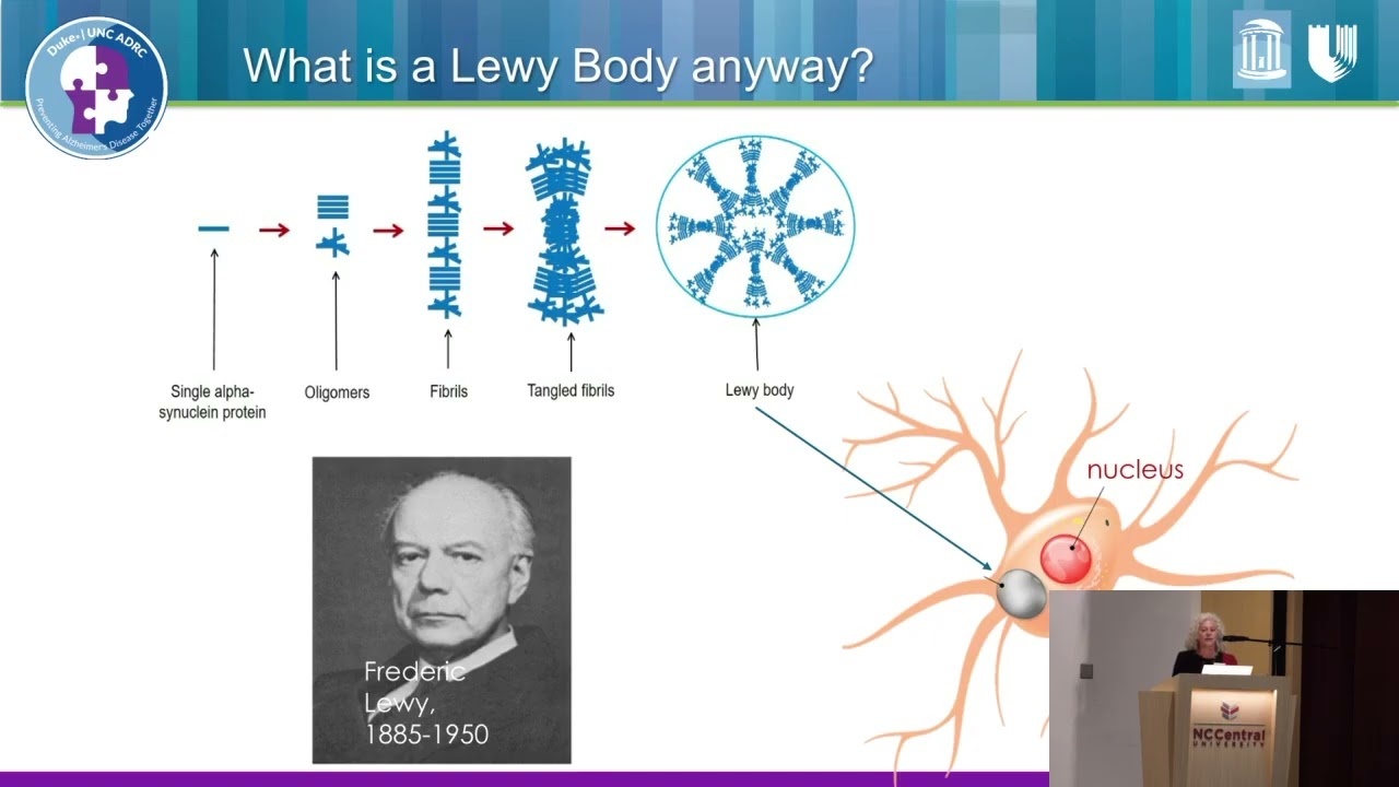 An Introduction to Non-Alzheimer's Dementias