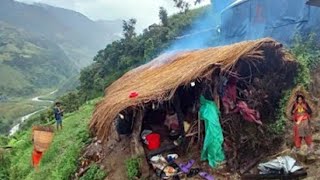 This Ls Nepali Himalayan Rural Life Ll Boffalo Most Peaceful Relaxing Neoali Village Life