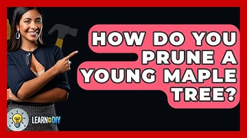 How Do You Prune A Young Maple Tree? - LearnToDIY360.com