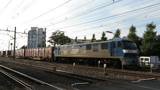 JR貨物・秋頃のEF210形（Japan Freight Railway）