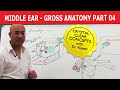 Middle Ear - Gross Anatomy - Part 4/9