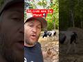 We could save the planet with goats #planet #goat  #goats #outdoors