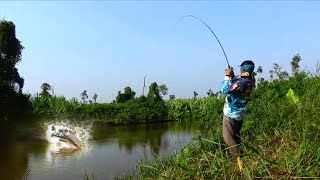 TOMAN RIAU NI BOSS ‼️ NGGAK ADA KAPOKNYA 🤣