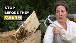 Full ROOKIE BEEKEEPER MISTAKES Advice After 12 Years of Beekeeping News
