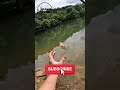 Manfaat yang kamu rasakan dari hobi mancing #shorts