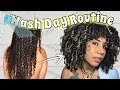 WASH DAY ROUTINE 2022 | Easy Winter Wash Day Routine